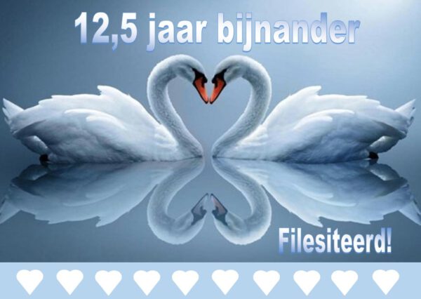 12,5 Jaar bijnander filesiteerd!